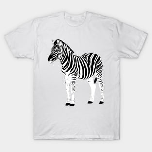 Cute Black & White Zebra Animal Pink Design T-Shirt